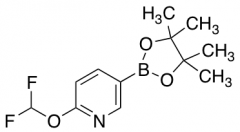 2-(difluoromethoxy)-5-(4,4,5,5-tetramethyl-1,3,2-dioxaborolan-2-yl)pyridine