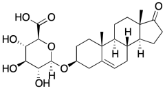 Dehydroepiandrosterone 3&beta;-Glucuronide