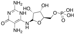 DARPP 2,5-diamino-6-(5-phospho-D-ribosylamino)-pyrimidin-4(3H)-one