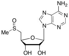 5&rsquo;-Deoxy-5&rsquo;-(methylthio)adenosine
