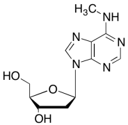 2'-Deoxy-N-methyladenosine