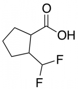 2-(difluoromethyl)cyclopentane-1-carboxylic acid