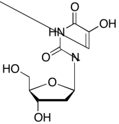 2&rsquo;-Deoxy-5-hydroxyuridine