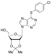 6-Desamino-6-(4-Chlorophenyl)-thioadenosine 2&rsquo;,3&rsquo;-O-(1-Methylethyliden