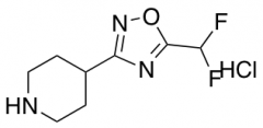 4-[5-(difluoromethyl)-1,2,4-oxadiazol-3-yl]piperidine hydrochloride