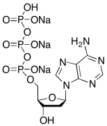 2'-Deoxyadenosine-5'-triphosphate Trisodium Salt