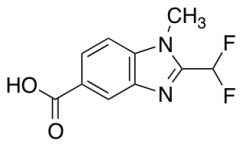 2-(difluoromethyl)-1-methyl-1H-1,3-benzodiazole-5-carboxylic acid
