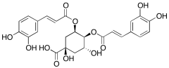 4,5-Dicaffeoylquinic Acid