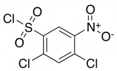 2,4-Dichloro-5-nitrobenzene-1-sulfonyl Chloride
