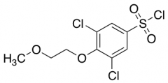 3,5-Dichloro-4-(2-methoxyethoxy)benzene-1-sulfonyl Chloride