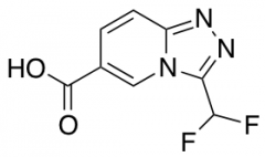 3-(Difluoromethyl)-[1,2,4]triazolo[4,3-a]pyridine-6-carboxylic Acid