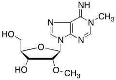 N1,O2'-Dimethyladenosine