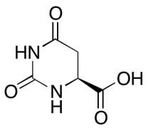 L-Dihydroorotic acid