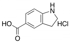 2,3-Dihydro-1H-indole-5-carboxylic Acid Hydrochloride