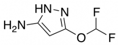 5-(Difluoromethoxy)-1H-pyrazol-3-amine
