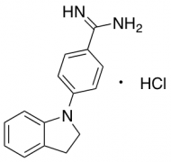 4-(2,3-Dihydro-1H-indol-1-yl)benzene-1-carboximidamide Hydrochloride