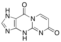 3,5-Dihydropyrimido[1,2-a]purine-6,10-dione
