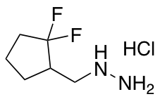 [(2,2-difluorocyclopentyl)methyl]hydrazine hydrochloride