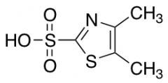 4,5-dimethyl-1,3-thiazole-2-sulfonic Acid