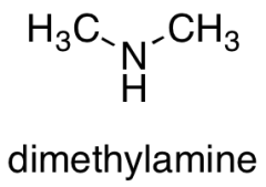 Dimethylamine solution purum 33% in absolute ethanol (~5.6 M)