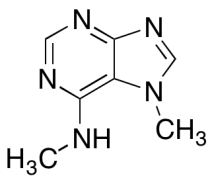 N6,7-Dimethyladenine