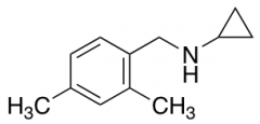 N-(2,4-dimethylbenzyl)cyclopropanamine