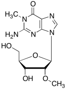1,2&rsquo;-O-Dimethylguanosine