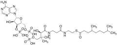 4,8-Dimethylnonanoyl-CoA