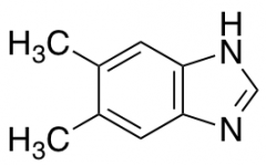 5,6-Dimethylbenzimidazole
