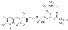 1,2-Dimyristoyl-sn-glycero-3-phosphoethanolamine 6,8-Difluoro-7-hydroxycoumarin-3-carboxam