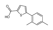 5-(2,4-Dimethylphenyl)thiophene-2-carboxylic acid