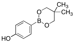 4-(5,5-Dimethyl-1,3,2-dioxaborinan-2-yl)phenol