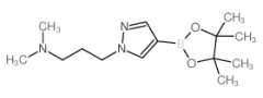 N,N-Dimethyl-3-[4-(4,4,5,5-tetramethyl-1,3,2-dioxaborolan-2-yl)-1h-pyrazol-1-yl]-1-propana