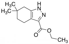 6,6-Dimethyl-4,5,6,7-tetrahydro-1H-indazole-3-carboxylic acid ethyl ester