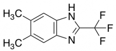 5,6-Dimethyl-2-(trifluoromethyl)-1H-benzimidazole