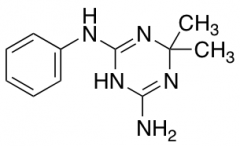 6,6-dimethyl-2-N-phenyl-1,6-dihydro-1,3,5-triazine-2,4-diamine