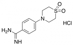 4-(1,1-dioxo-1lambda6-thiomorpholin-4-yl)benzene-1-carboximidamide hydrochloride