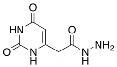 2-(2,6-dioxo-1,2,3,6-tetrahydropyrimidin-4-yl)acetohydrazide