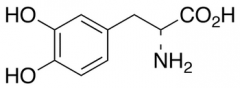 D-DOPA