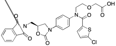 N-1,3-Dioxoisoindolin-2-yl Rivaroxaban
