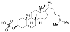 Desmosterol Sulfate