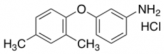 3-(2,4-Dimethylphenoxy)aniline Hydrochloride