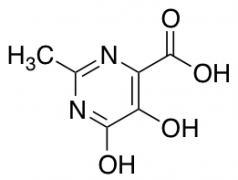 5,6-Dihydroxy-2-methyl-pyrimidine-4-carboxylic acid