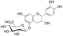Epicatechin 5-O-&beta;-D-glucuronide