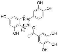 (-)-Epicatechin Gallate-13C3