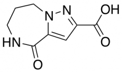 4-oxo-5,6,7,8-tetrahydro-4H-pyrazolo[1,5-a][1,4]diazepine-2-carboxylic Acid