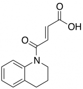 4-Oxo-4-(1,2,3,4-tetrahydroquinolin-1-yl)but-2-enoic Acid