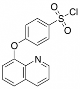 4-(Quinolin-8-yloxy)benzene-1-sulfonyl Chloride