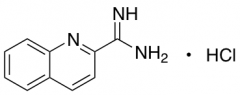 Quinoline-2-carboximidamide Hydrochloride