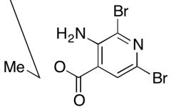 Ethyl 3-Amino-2,6-dibromoisonicotinate